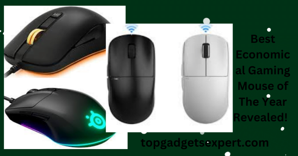 Best Economical Gaming Mouse